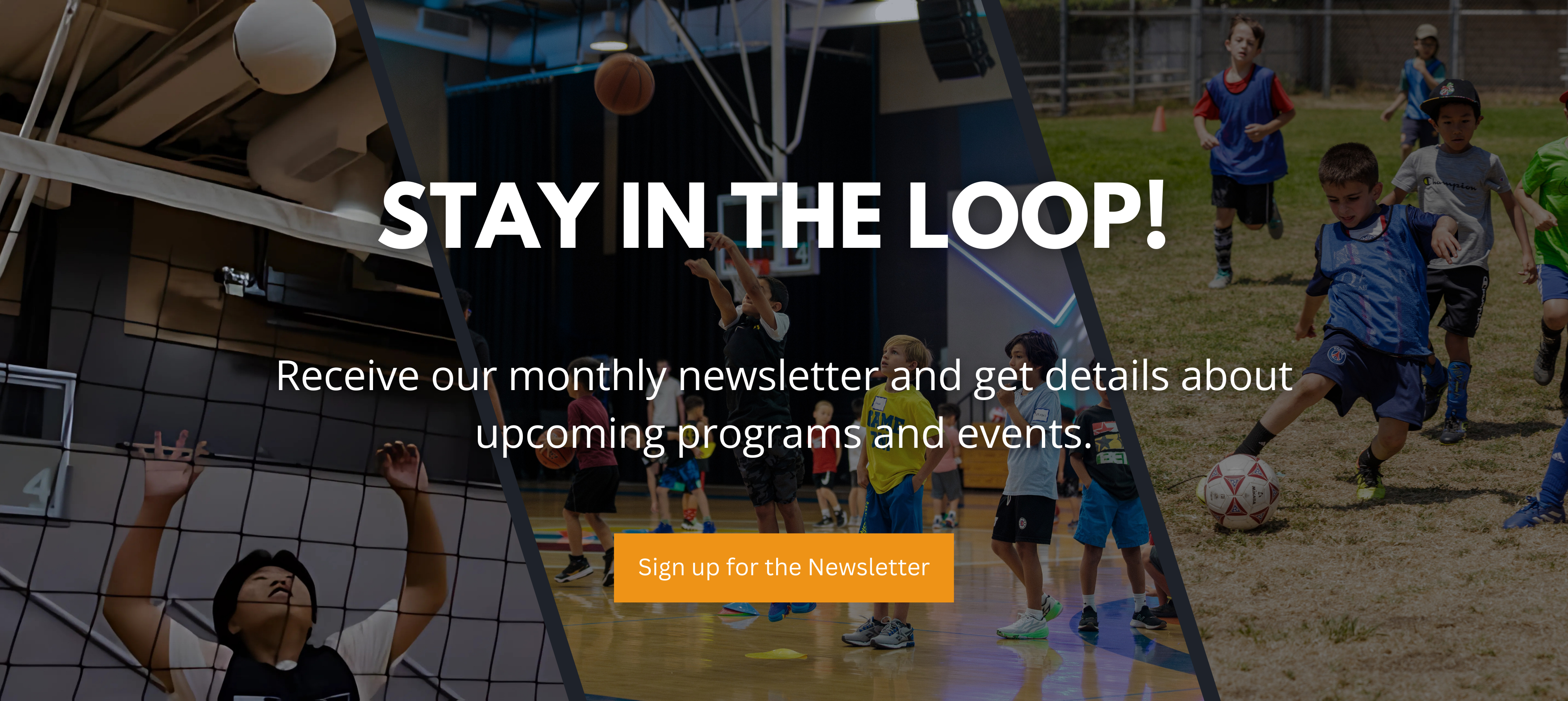 sign_up_for_the_Newsletter.png